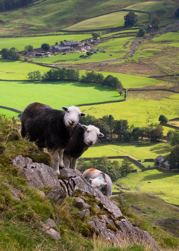 AP006 Hello SAT 13612