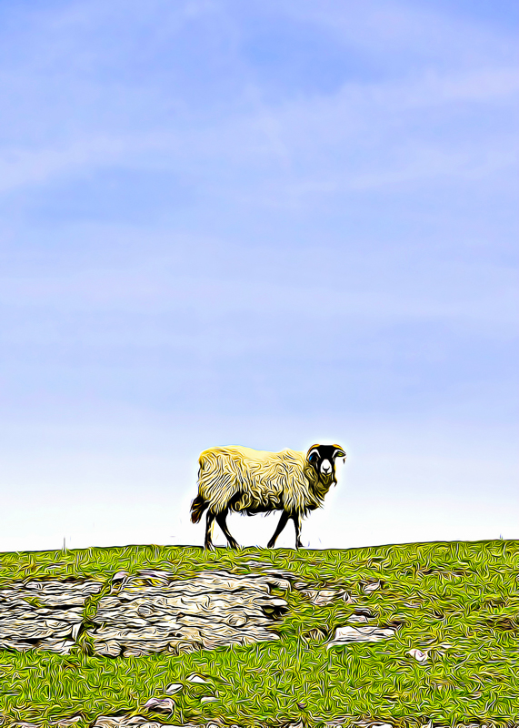 FX008 Who Are Ewe who are ewe sat 16619