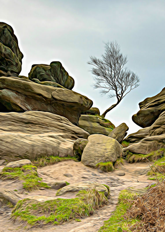 FX009 Birch Tree birch tree sat 4575