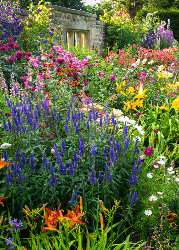 GP004 Herbaceous Border SAT 15384