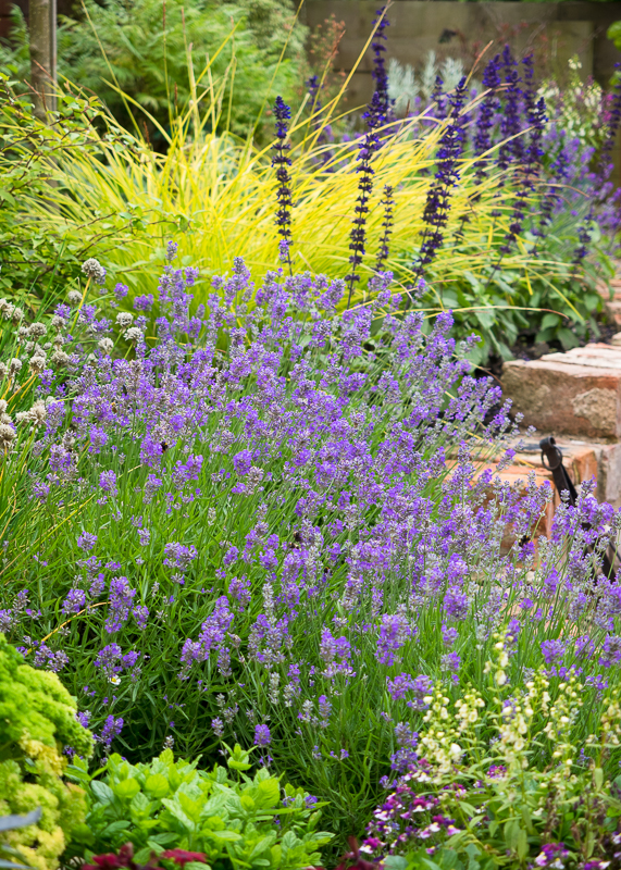 GP006 My Back Garden SAT 15317