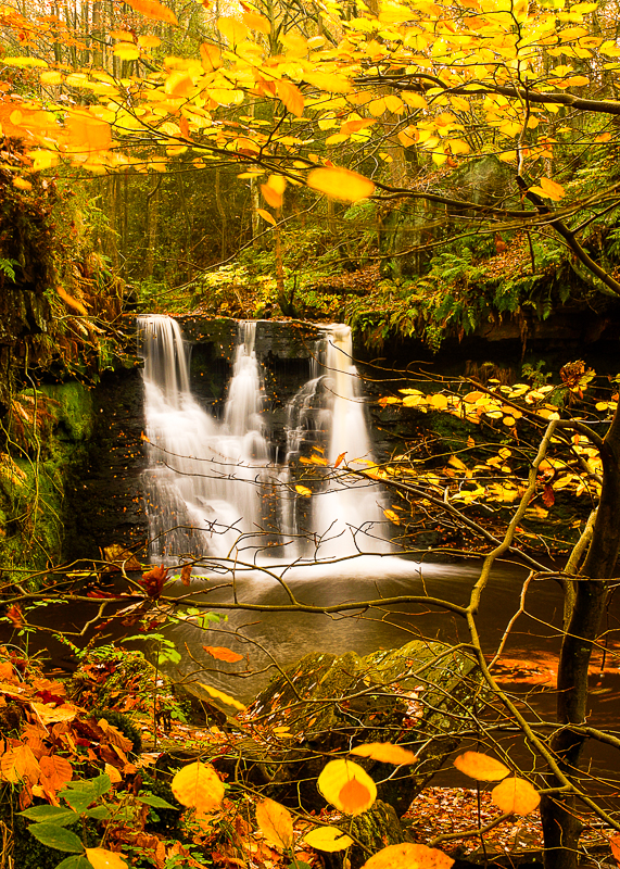 LP010 Goit Stock Waterfall Bingley AER 14290