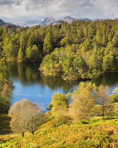 Langdale Pikes from Tarn Hows