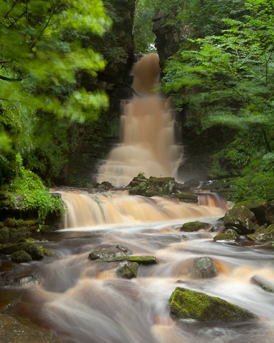 Mill Gill Force