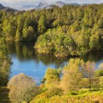 Langdale Pikes from Tarn Hows