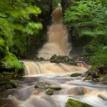 Mill Gill Force